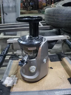 Heavy-Duty Korean Slow Juicer Masticating Machine Grinder