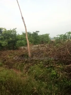 Land for Sale 60ft by 60ft