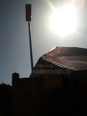 Exulted 60w All in One Solar Light