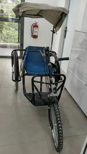 Disabled Tricycle