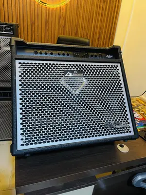 Professional Bass Combo