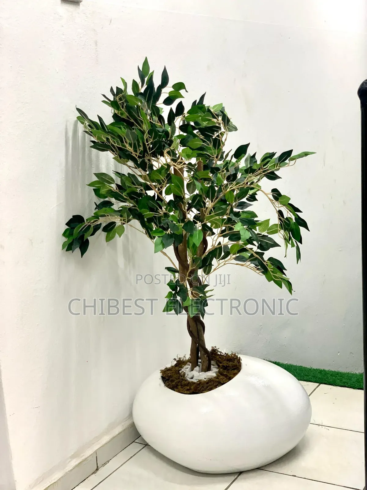 Artificial Ficus Tree