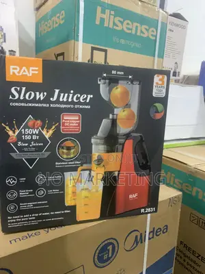 Raf 150w Slow Juicer R-2831 Slow Extraction System