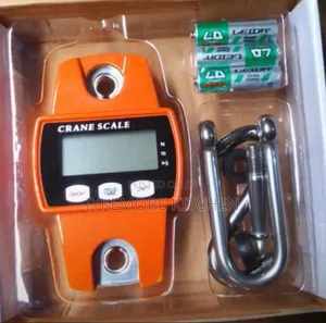300 Kg Hanging Crane Digital Scale