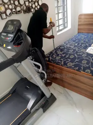 Cleaning With Professionals