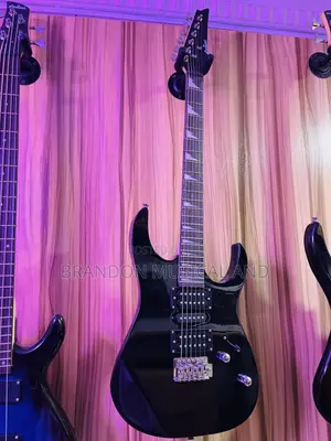 Professional Lead Guitar