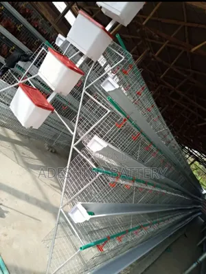 Battery Cages
