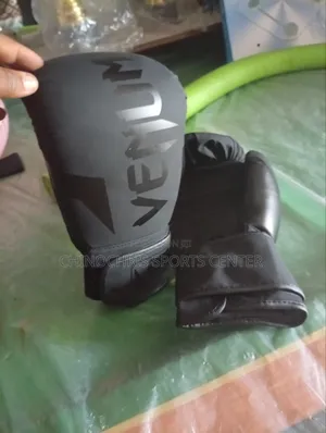 Boxing Gloves Venum