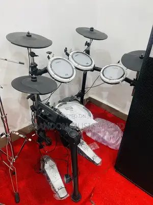 Professional Electric Drum