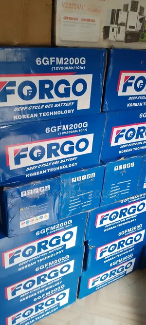 220ah/12v Forgo Deep Cycle Battery Available at Stock