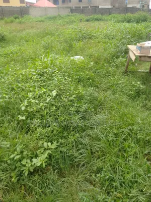 Genuine Plot of Land in Asaba for Sale