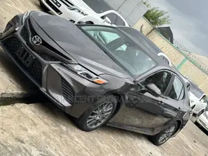Toyota Camry LE (2.5L 4cyl 8A) 2019 Gray