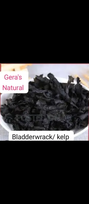Bladderwrack/ Kelp 100g