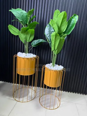 Luxury Planter With Plant
Comes With Luxury Planter
