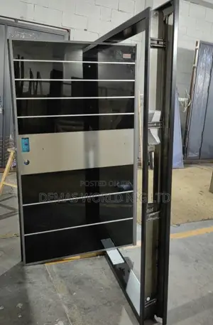 Mirror Glass Pivot Door