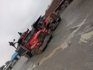 Black Chipping