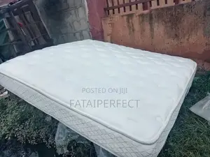 6/6 Canadian Orthorpedic Spring Mattress for Back Pain