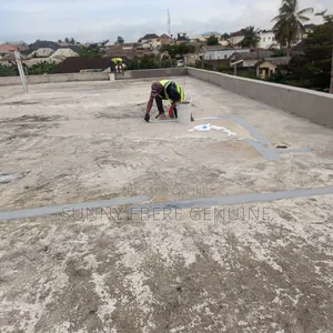 Weatherproof Nano Coating Waterproof Roof Coating