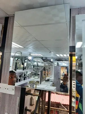 Exotic Interior Box Mirror
