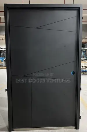 Pivot Door Entrance Normal Height