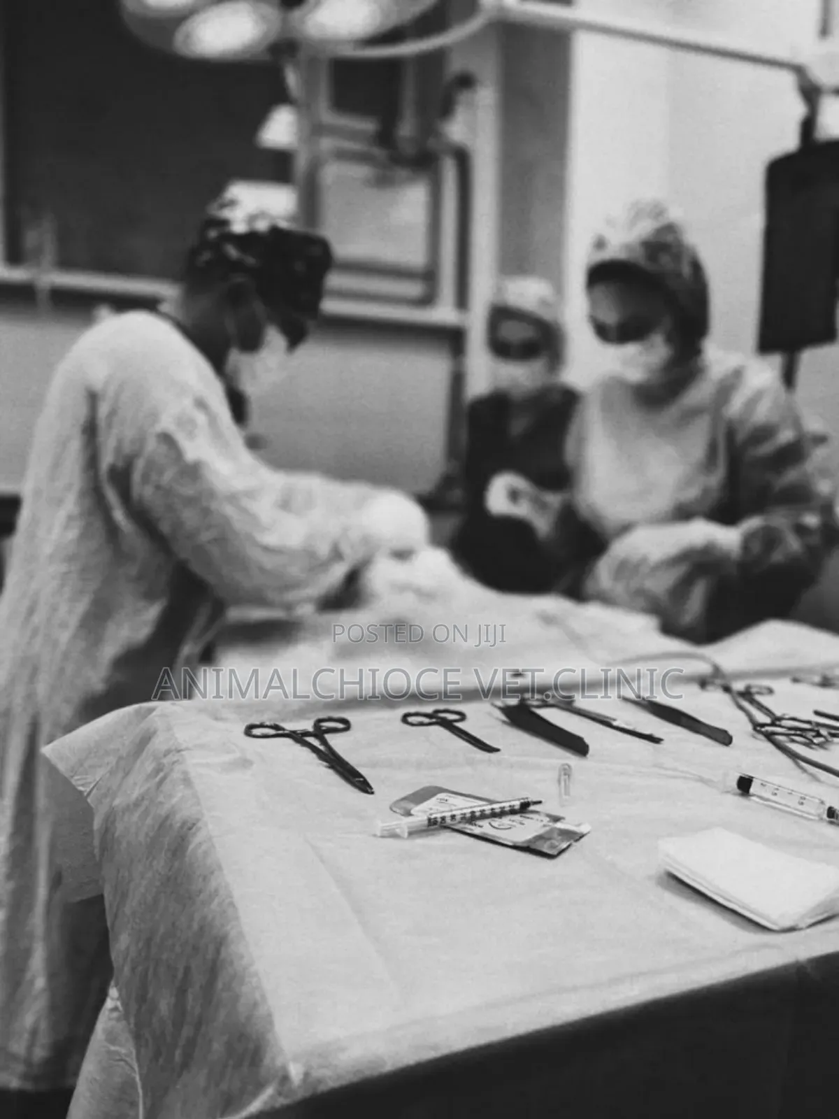 Veterinary Clinic Service