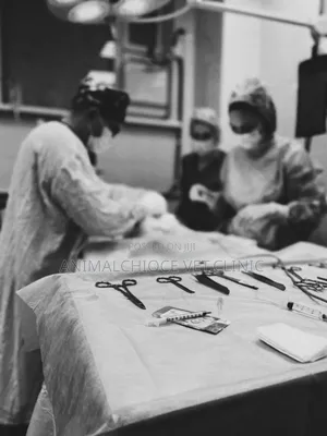 Veterinary Clinic Service