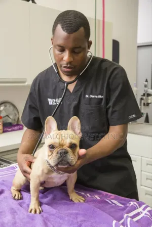 Veterinary Clinic Service