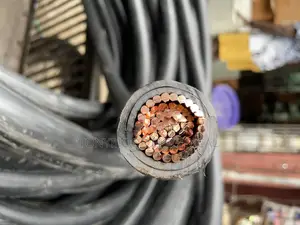 500mmx1core Electric Cable
