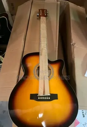 Big Professional Box Guitar