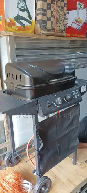 Uk Imported Gas Outdoor Ignitor Barbeque Grill Machine