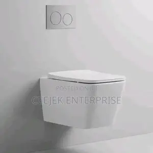 Luxury White Conseal Water Closet