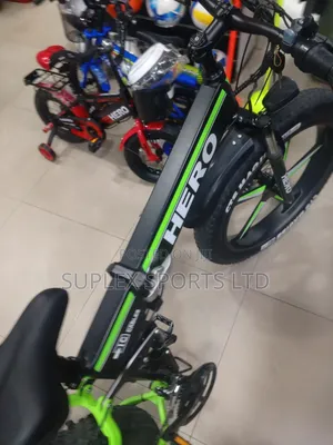 Electric Bicycle Foldable Bike. (Hero)