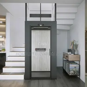 Luxury Hotel Glass Elevauor