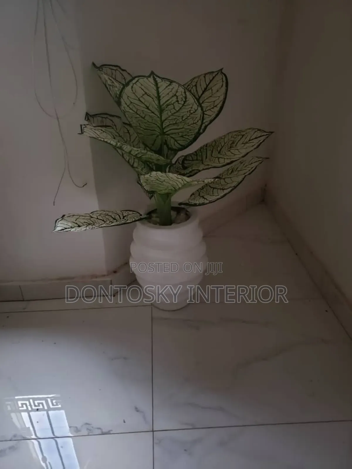 Flower Vase and Grass