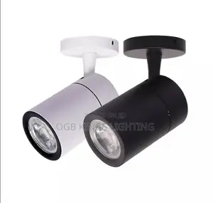 Led Cob Lamp Led Downlights 30w Surface Mounted Ledceiling