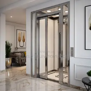 Mini Electric Elevators for Visitors
