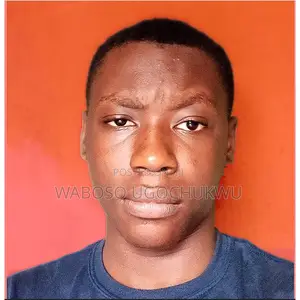 Graphic Designer