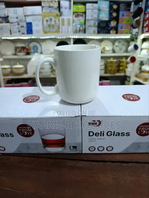 Plain White Thick Mug Cup