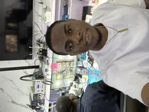 Professional iPhone Repair