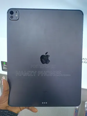Apple iPad Pro 256 GB Gray