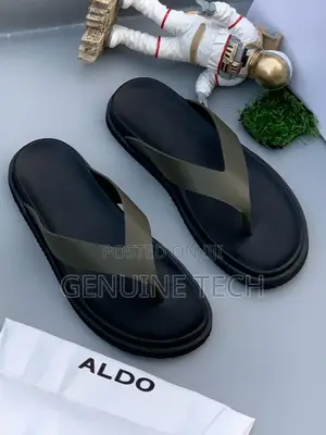 Aldo Slippers