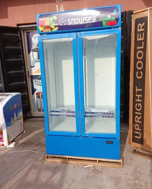 Two Doors Display Chiller