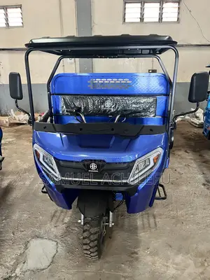 New Tricycle 2025 Blue