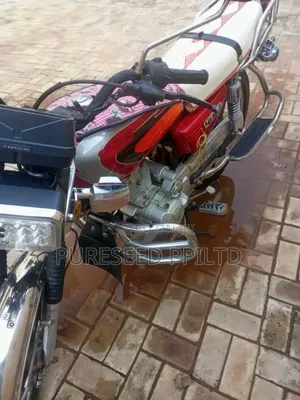 Daylong DL110-75 Power 2018 Red