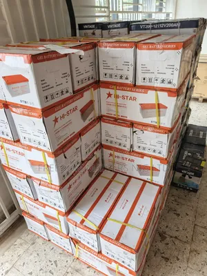 Hi Star Inverter Battery