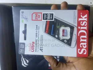 256gb Sandisk Memory Card