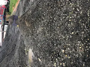 Black Stone