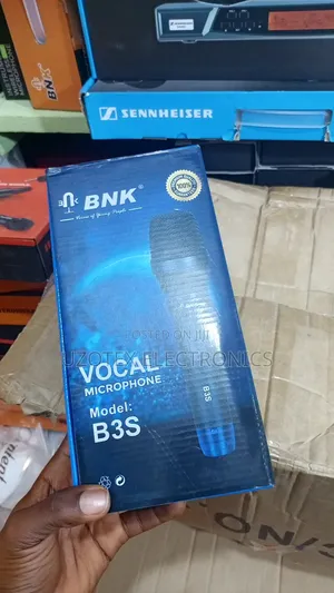 Professional Wire Microphone