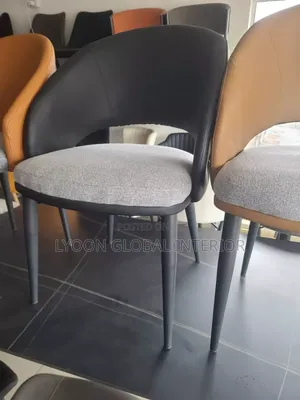Standard Quality Modern Multipurpose Chair