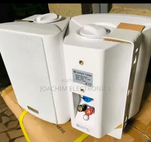 Lucky Tone Wall Speaker